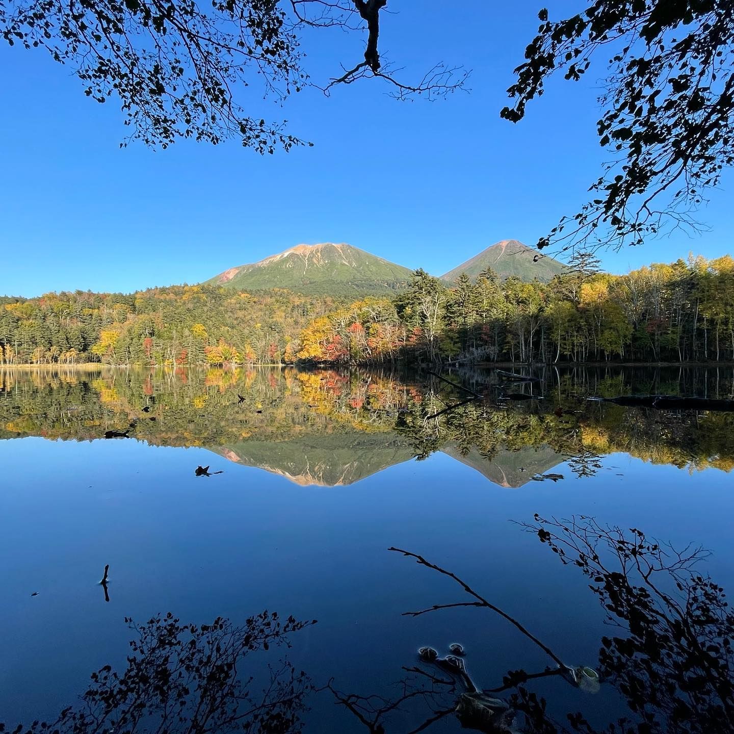 Get out the pumpkin spiced lattes! Autumn up by Lake Akan-1