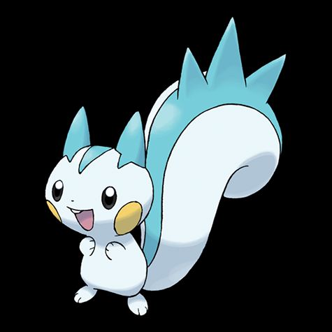 Pachirisu-1