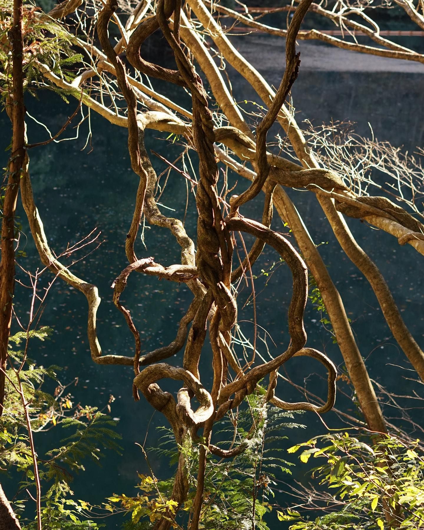 どこへ行こうか？
どこへでも行くよ君とならば

Laura Day Romance - Rendez-vous