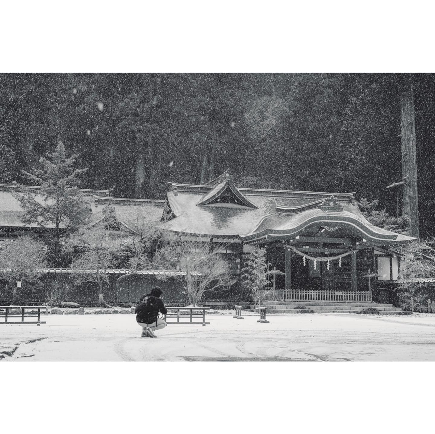 あなたが好き
私がフォトグラファーだったら

夜風とハヤブサ - indigo la end

Don’t usually post pictures of myself or shots from other people but @gavtaninjapan took such great shots I had to.