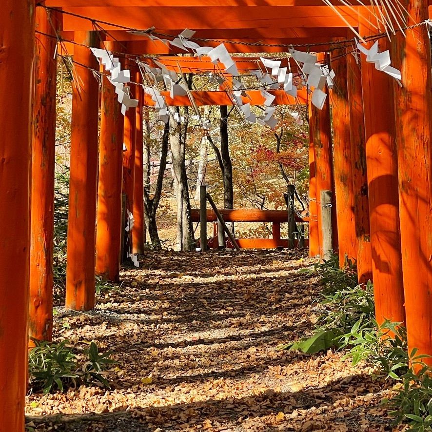 8867B72C C084 4986 BC03 4ABE4A427D2C 1 105 c