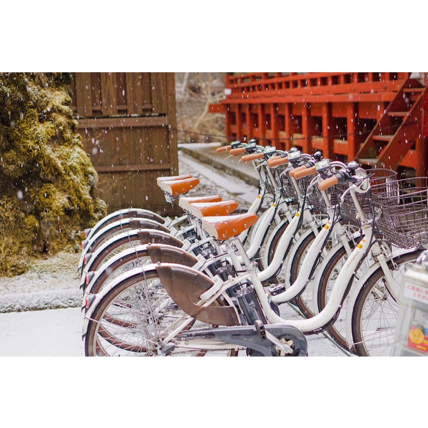 graphic、これはだめかなよく見てね！！！