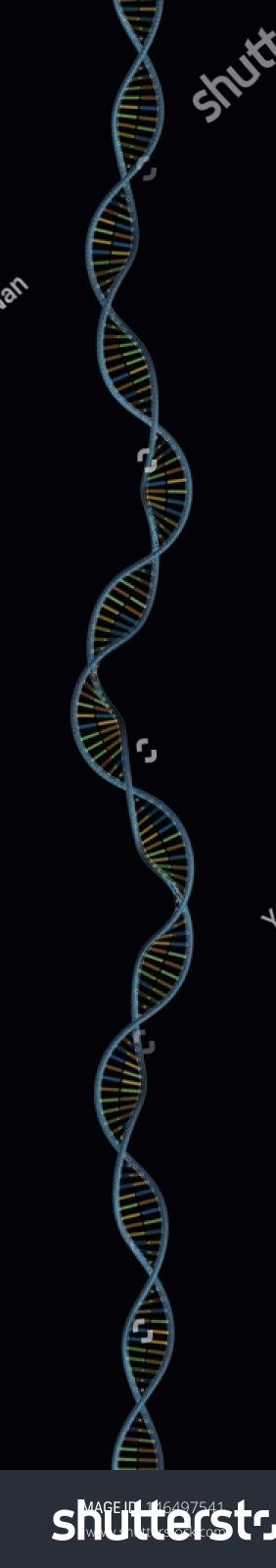 stock photo colorized d dna model vertical black background super long very high resolution 146497541-1