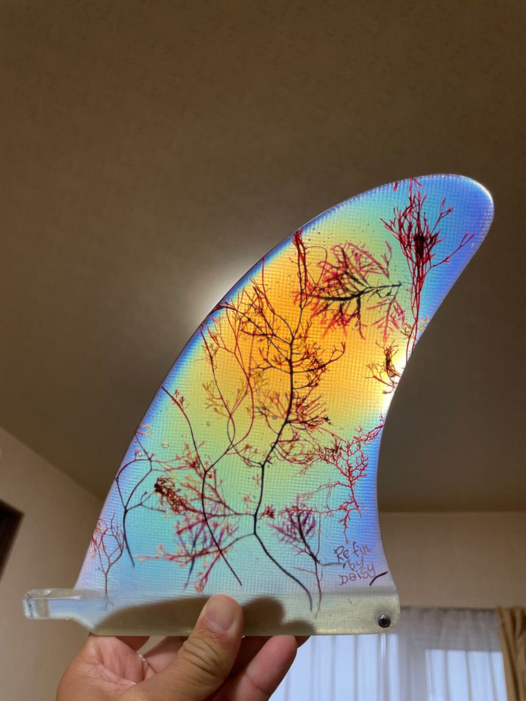 8A54EE9D C834 488F 8E8B FF45488BB93E 1 105 c-1