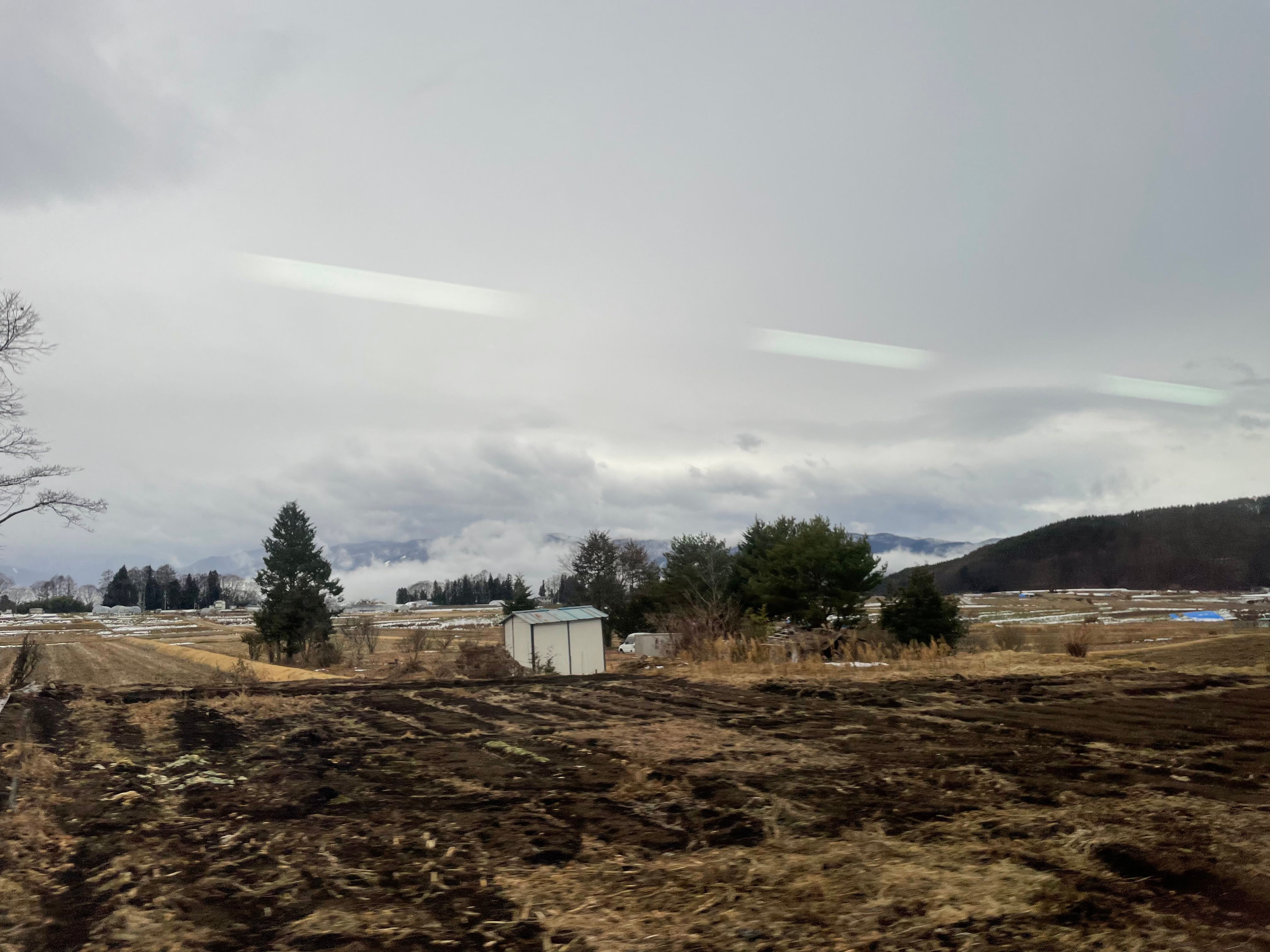 8D8C13B7 C097 4D6A ABCF B5086767B8B7-1