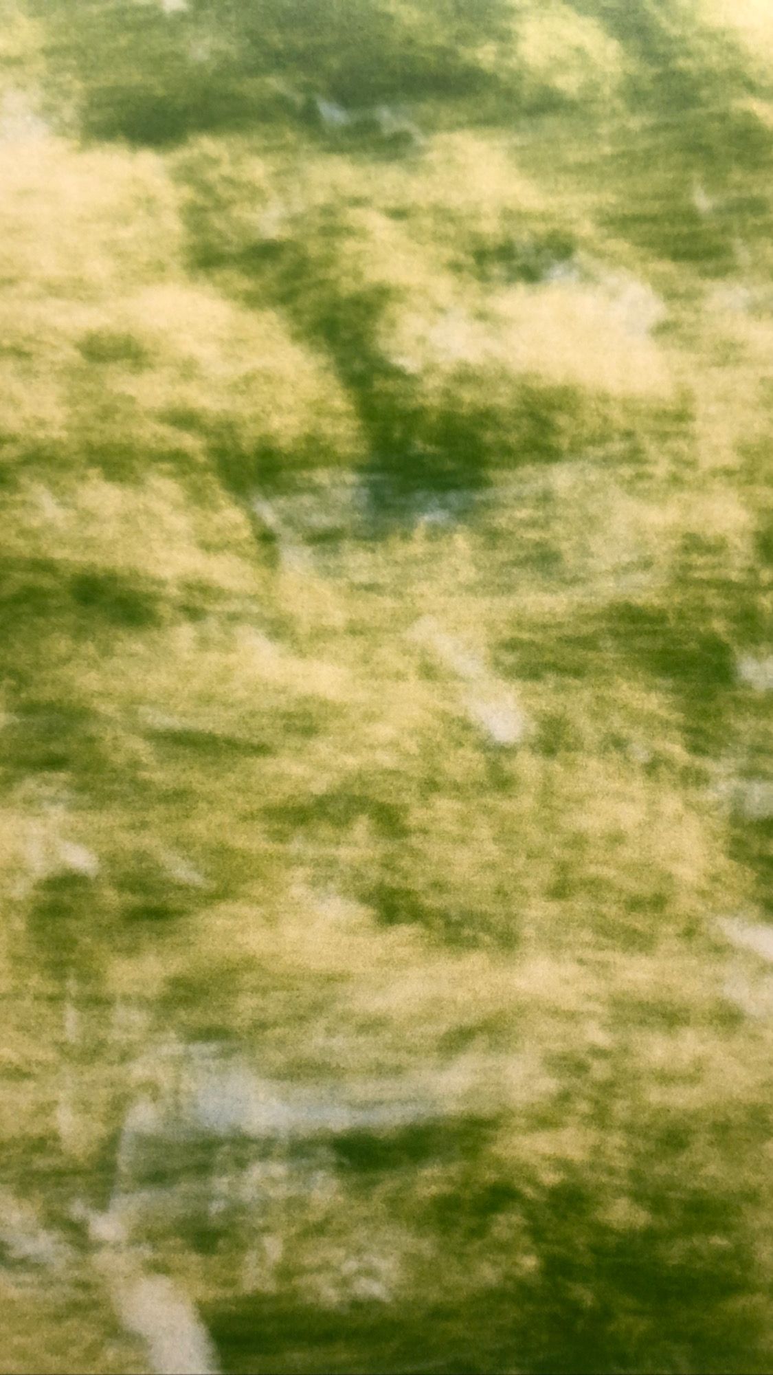 3F15D605 D9DE 4EC1 8FF6 7D150C0923D6-1