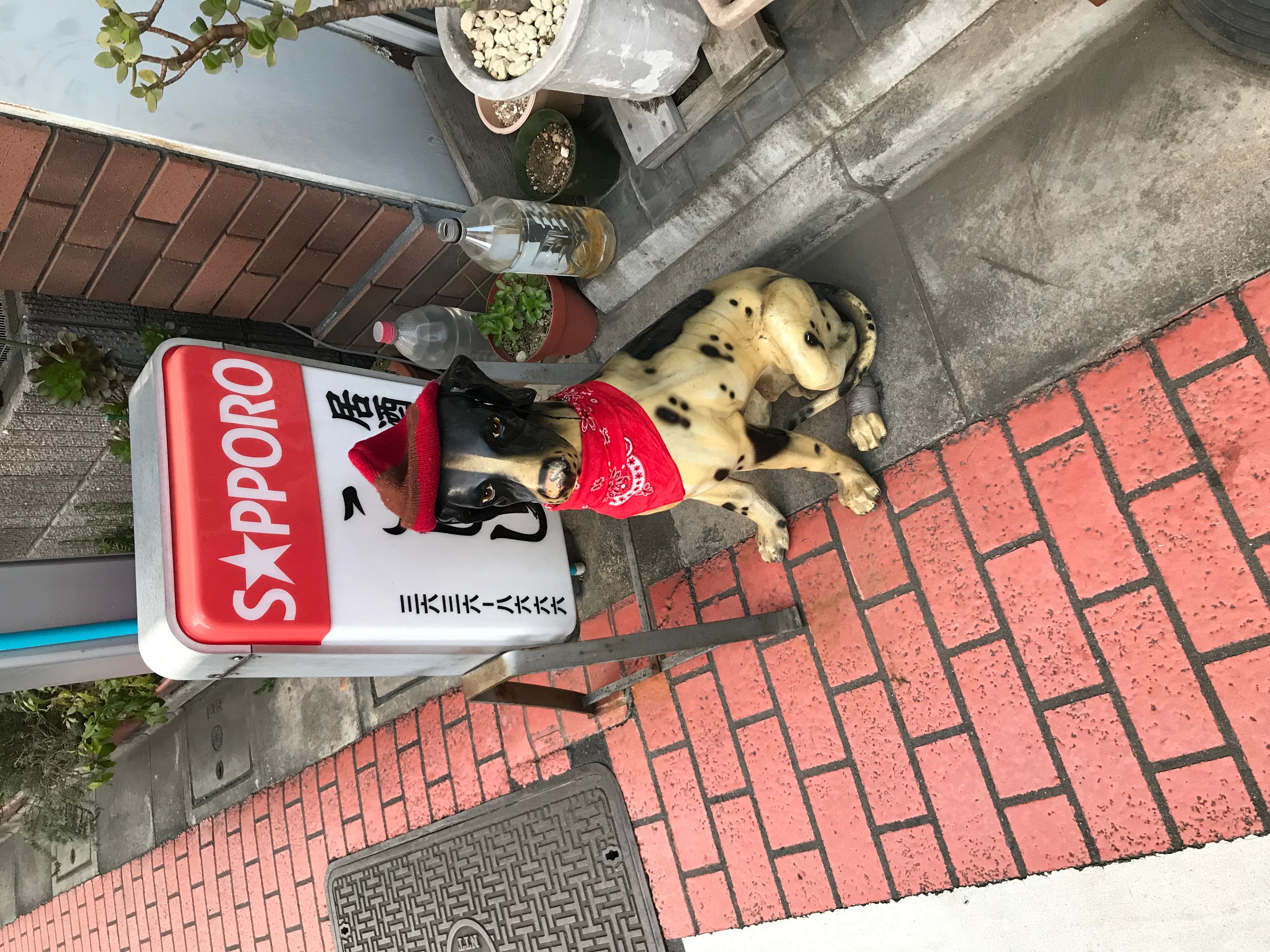 A23F1E17 D25F 465C 882D 55EE31E45DBF-1