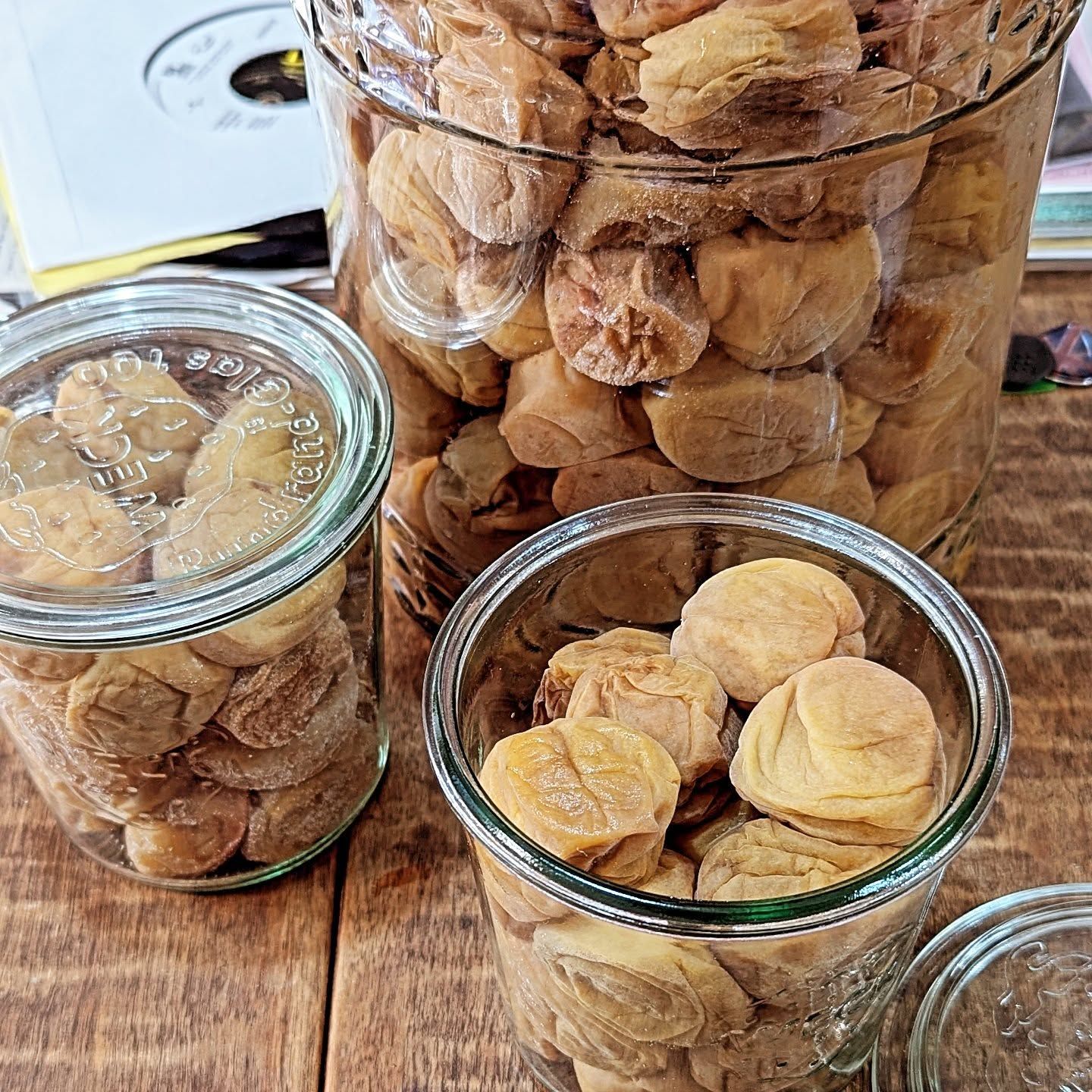 今年の梅干しは過去最高の出来と言っても過言ではない。ふわとろ。10 キロ干すのが大変だったがなんとかなってよかった。干網に丁度 10 キロ載せられたけど、重くて移動が大変🥹 
いつも素晴らしい梅を送ってくださる農家様に感謝、一礼して最初の一粒を頂く。

#梅仕事2025
#梅干し-1