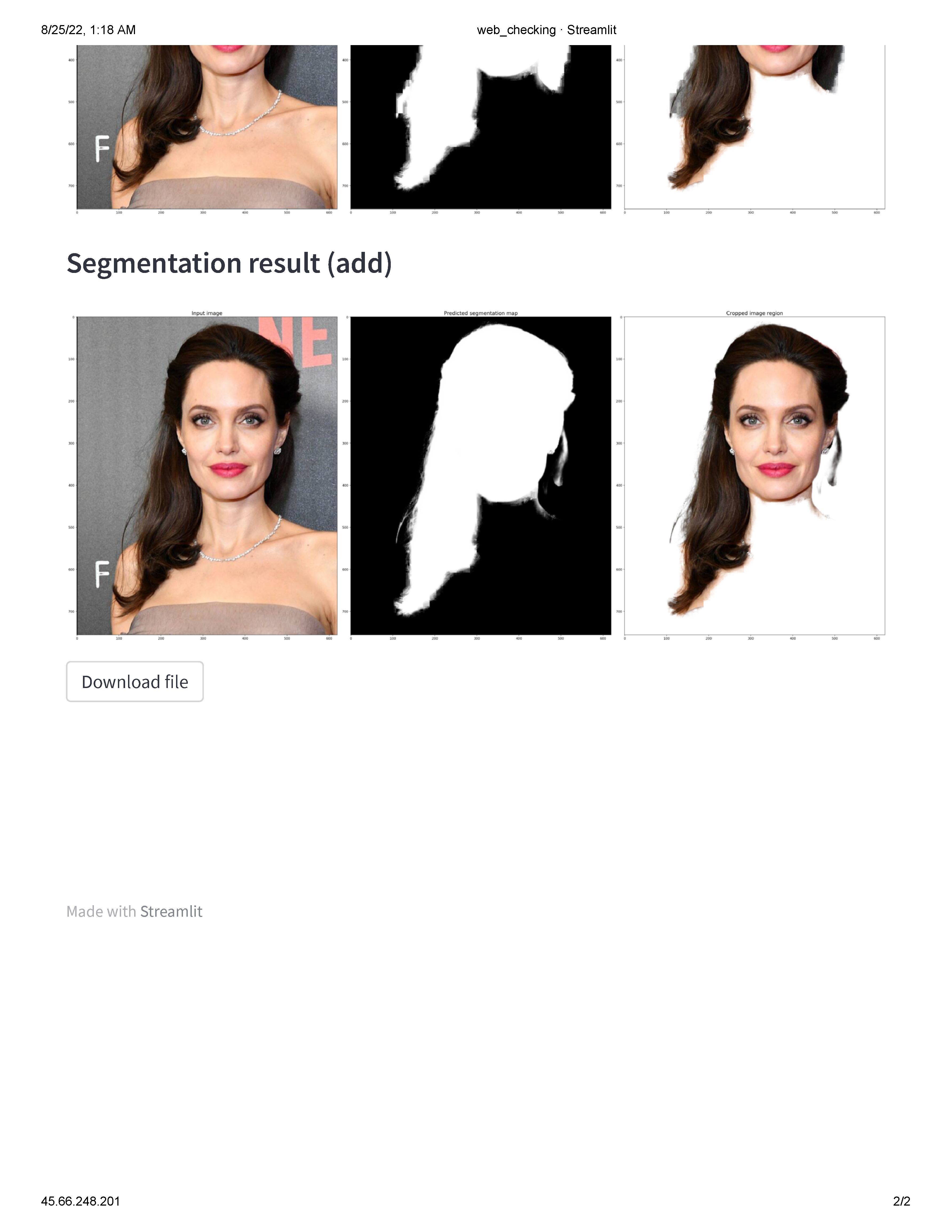 web checking · Streamlit-1